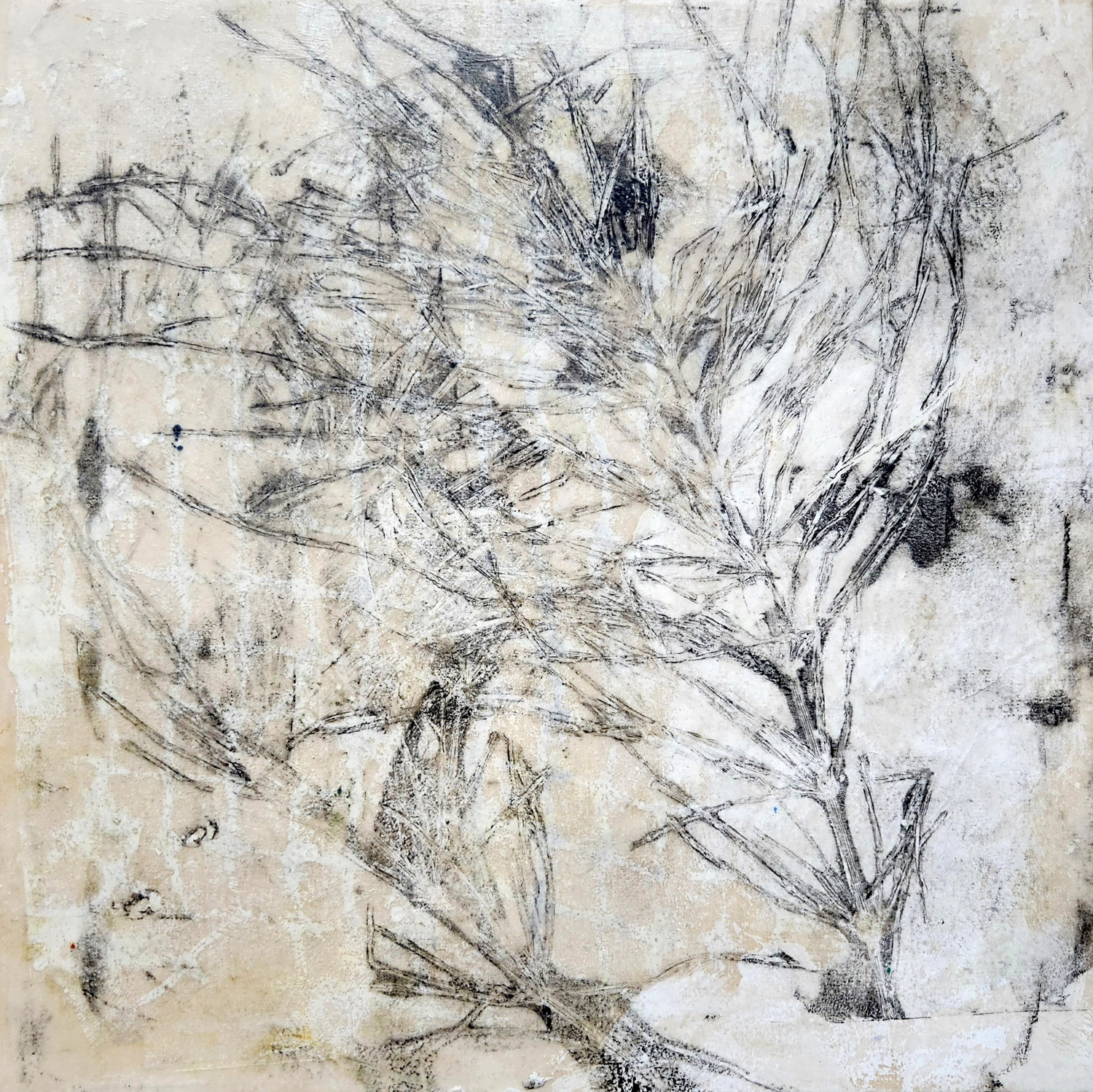 Claffey, Debra, Equisetum, 2024, monotype oils, Pigment Stick, encaustic, on sumi paper on panel, 12 x 12 x 1.5 inches, 2024004